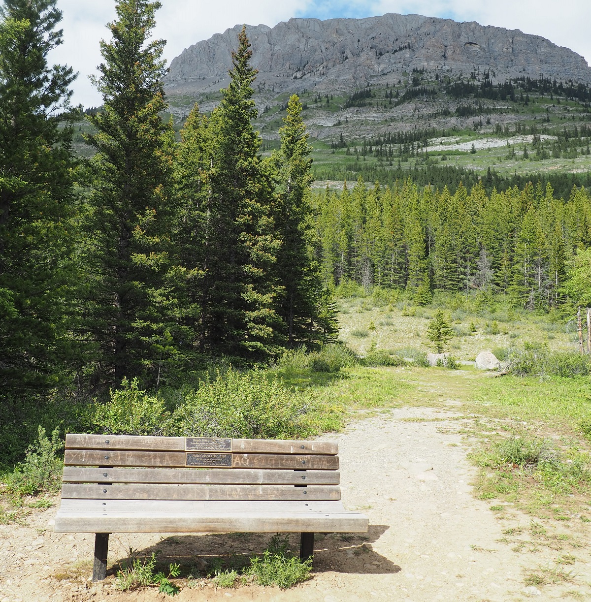 Kananaskis bench to honour deceased family members, Malik Merchant, Simerg Photos