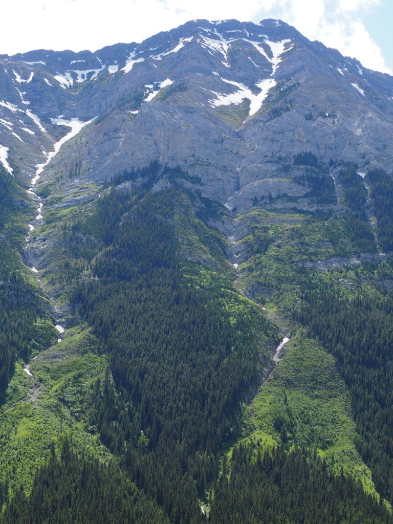 Commemorative Benches and Plaque Tributes to loved ones, Kananaski Country and Forget-me-not Pond, Malik Merchant Simerg Photos