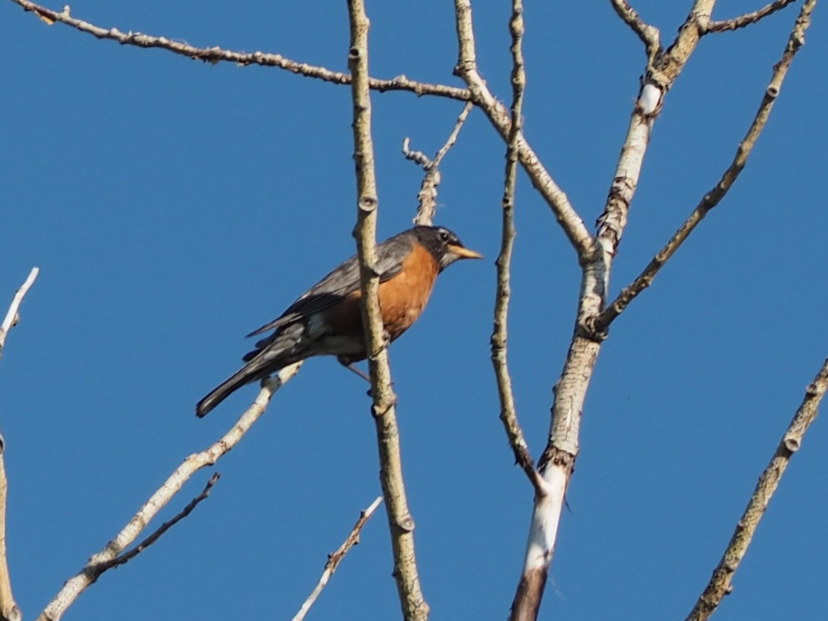 Glenmore Provincial Park