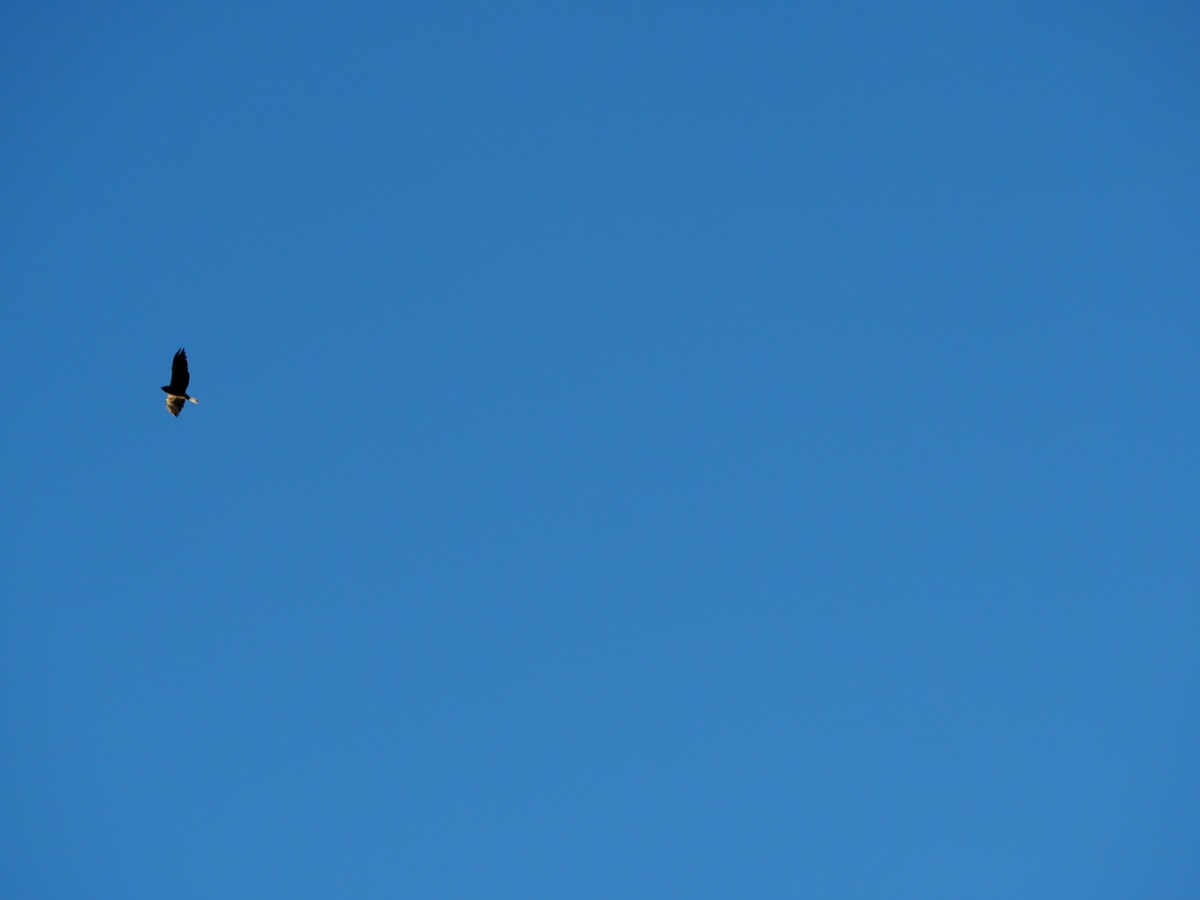 Glenmore Provincial Park, Cochrane Alberta, Malik Merchant