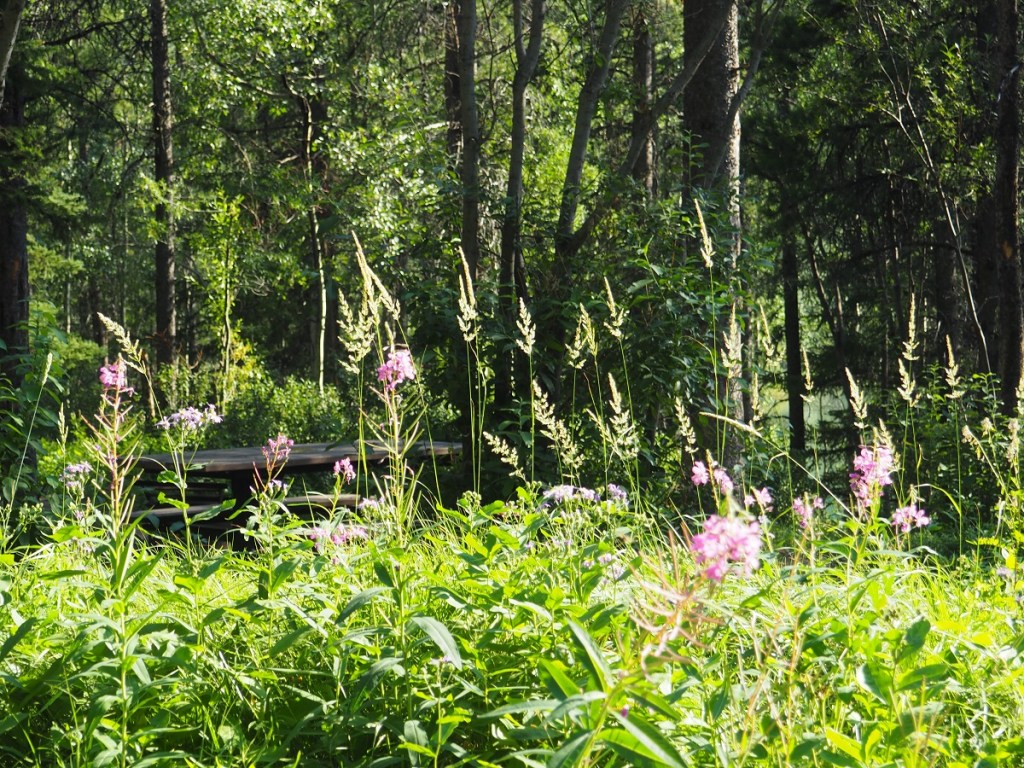 Wedge Pond Simerg Malik Merchant