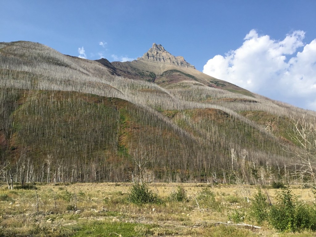 Waterton Lakes National Park, Red Rock Canyon Parkway