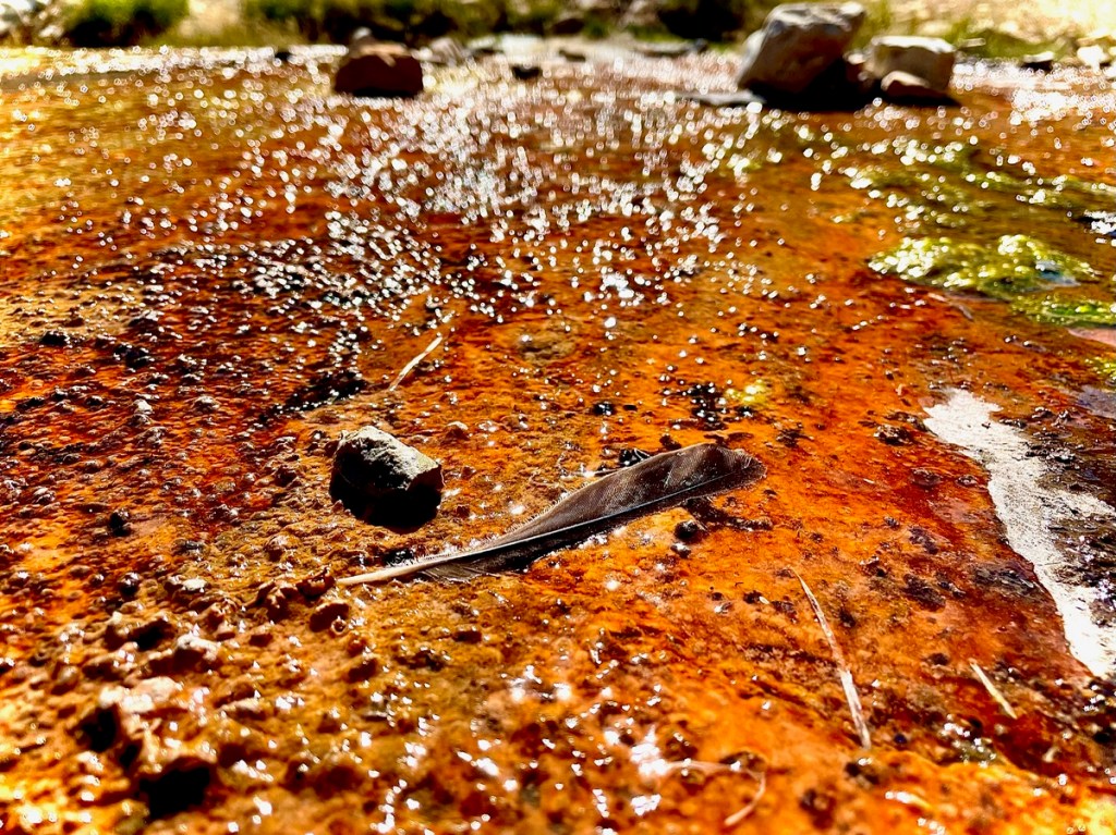 Akamina Parkway, Waterton Lakes National Park