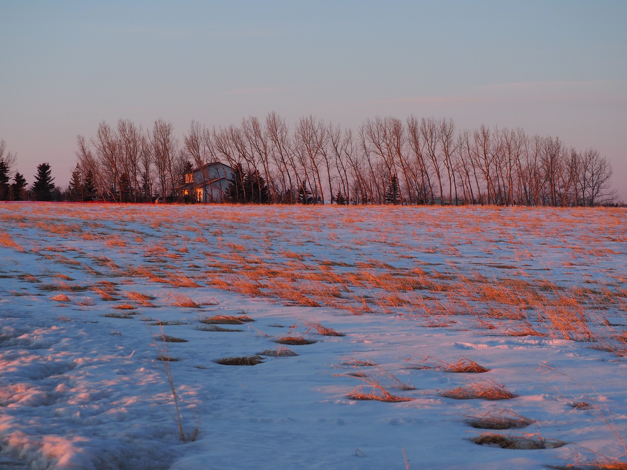 Calgary sunrise, Malik Merchant. transformation of the Prairies, Simerg Photos
