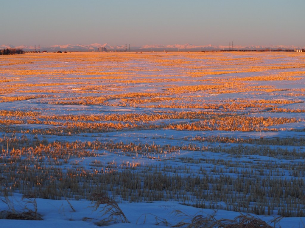 Calgary Alberta sunrise, simergphotos, Malik Merchant