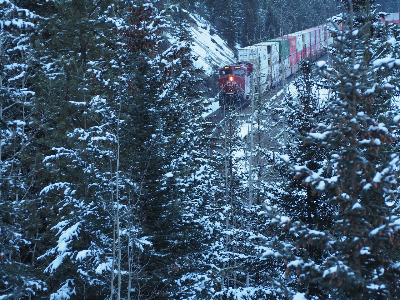 Red engine CP freight train crossing Moran't Curve Bow Valley Pkwy, Malik Merchant photographer