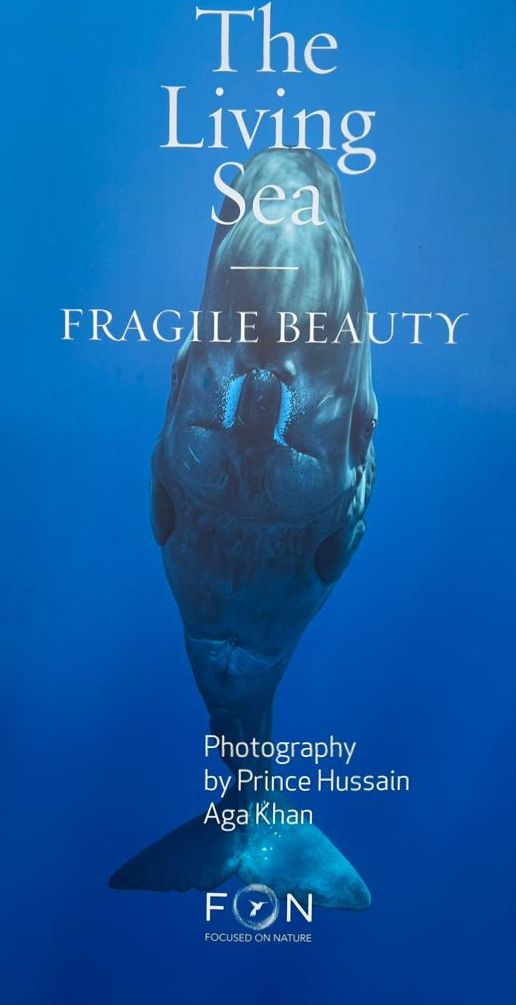 The Living Sea -- Fragile Beauty: Photographs by Prince Hussain Aga Khan displayed in the patio of the Ismaili Centre Toronto, May 24 - Juen 4, 2023. Photograph: Shafin Valla, Toronto.