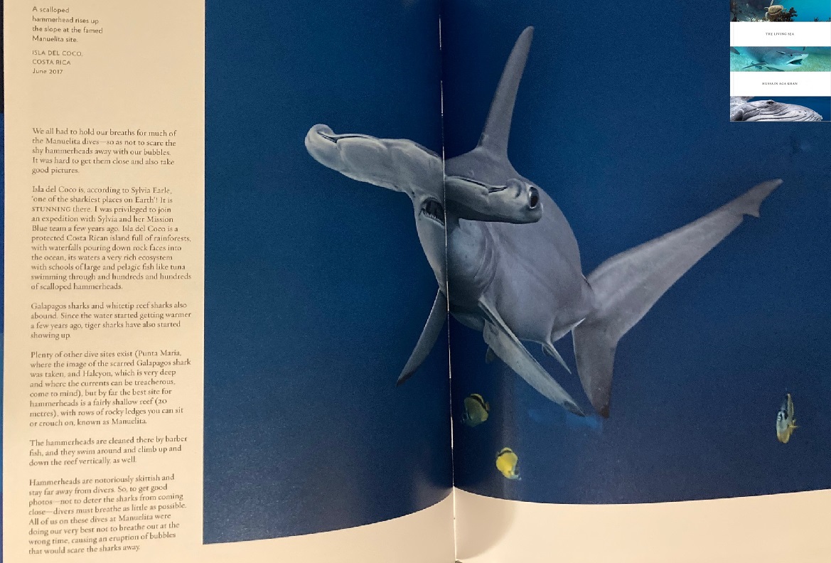 A 2-page spread from Prince Hussain Aga Khan's beautiful book The Living Sea. Hardcover, 320 pages, 24.13 x 3.18 x 33.02 cms, published by ‎ La Fábrica, Oct. 18 2022. Price CAN $80.00 + taxes. Simerg Photos