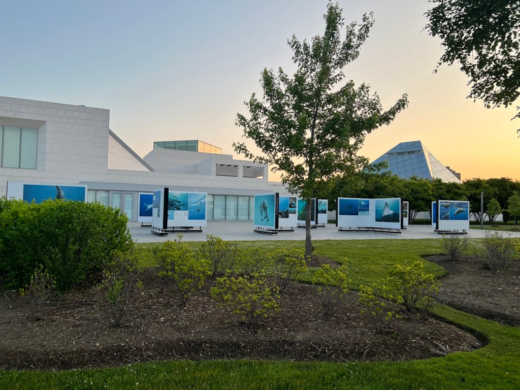 The Living Sea -- Fragile Beauty: Photographs by Prince Hussain Aga Khan displayed in the patio of the Ismaili Centre Toronto, May 24 - June 4, 2023. Photograph: Shafin Valla, Toronto.