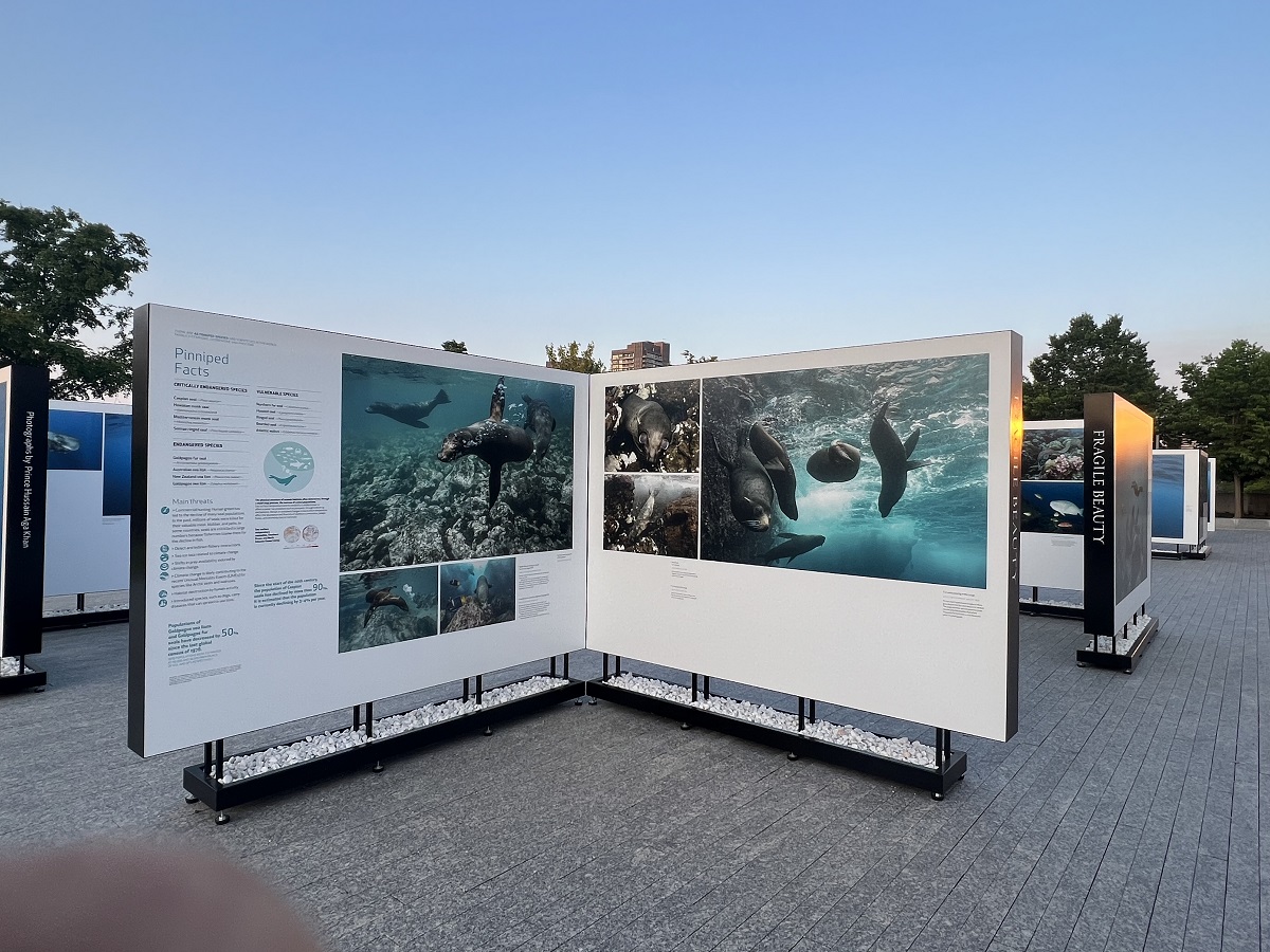 The Living Sea -- Fragile Beauty: Photographs by Prince Hussain Aga Khan displayed in the patio of the Ismaili Centre Toronto,