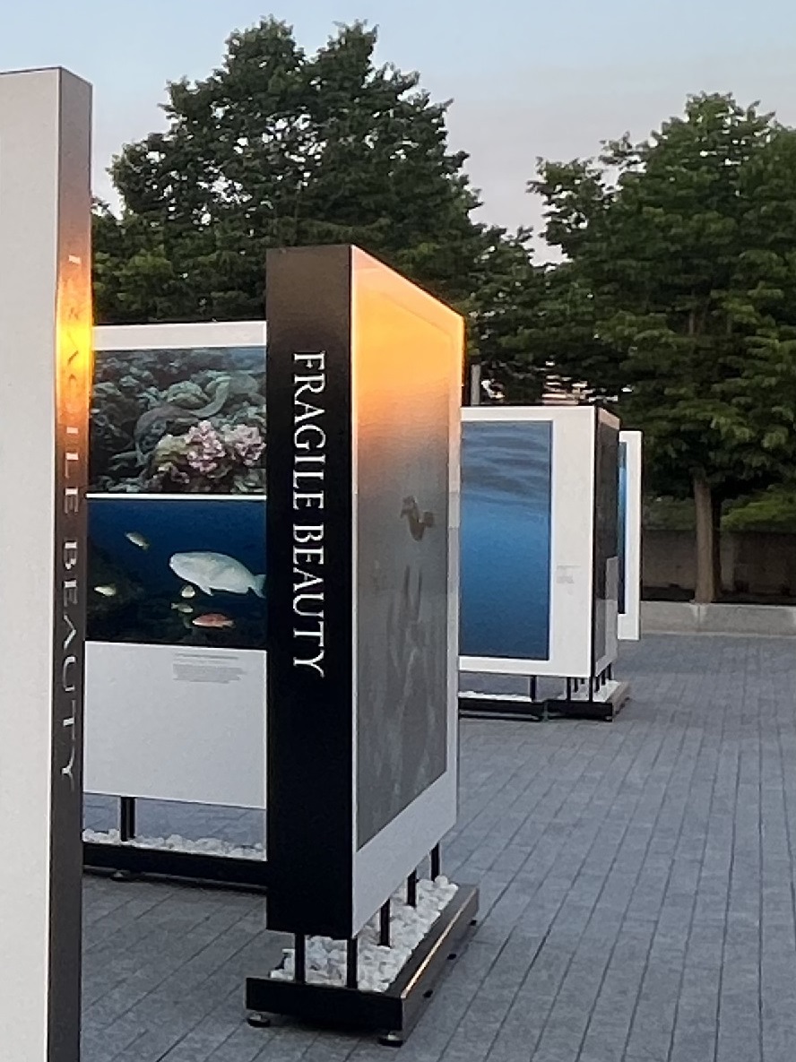 Simergphotos The Living Sea, Hussain Aga Khan at the Ismaili Centre Toronto, marine photos