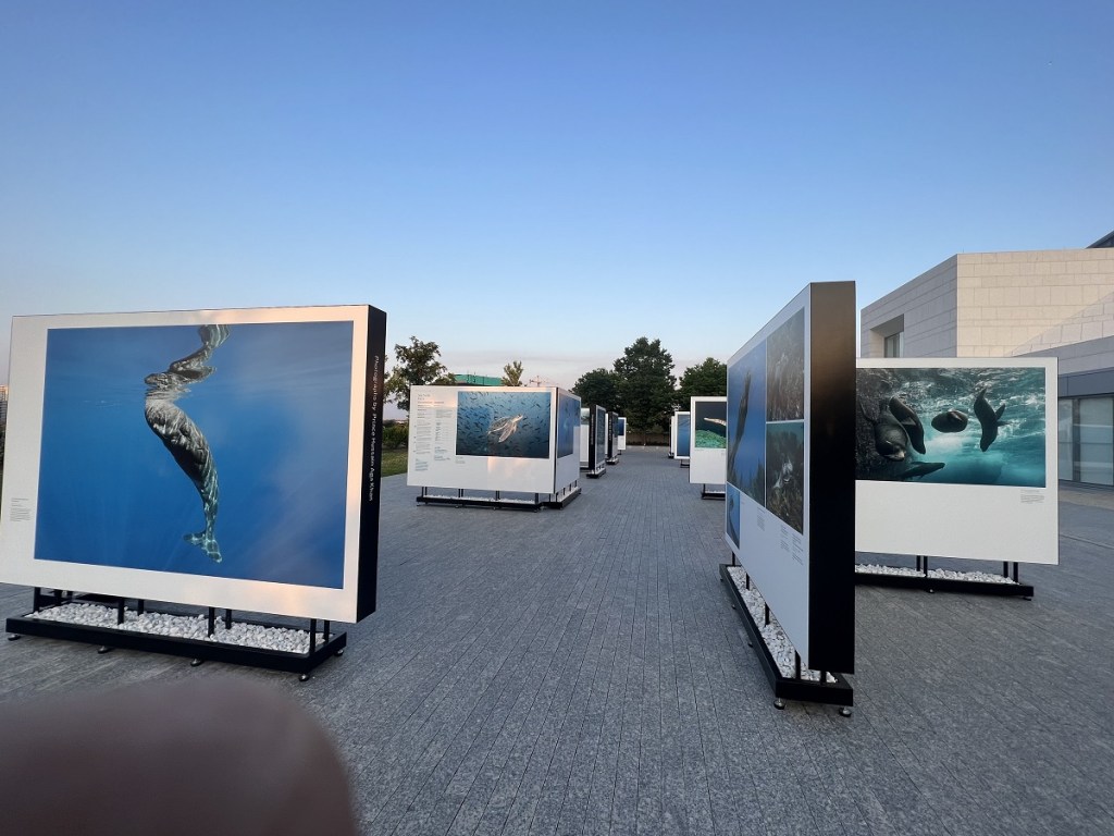 The Living Sea -- Fragile Beauty: Photographs by Prince Hussain Aga Khan displayed in the patio of the Ismaili Centre Toronto