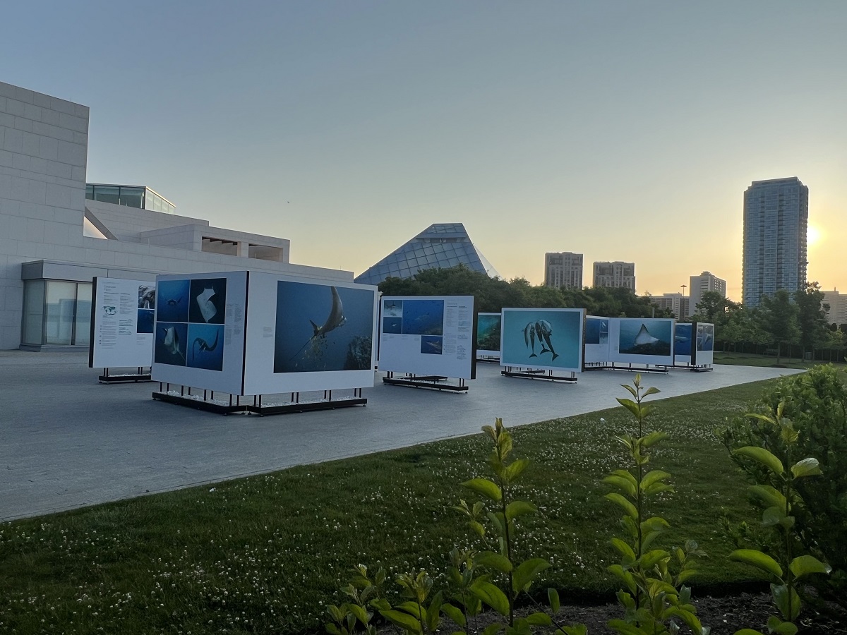 Simerg Photos Hussain Aga Khan The Living Sea at the Ismaili Cemtre Toronto dawn photos by Shafin Valla
