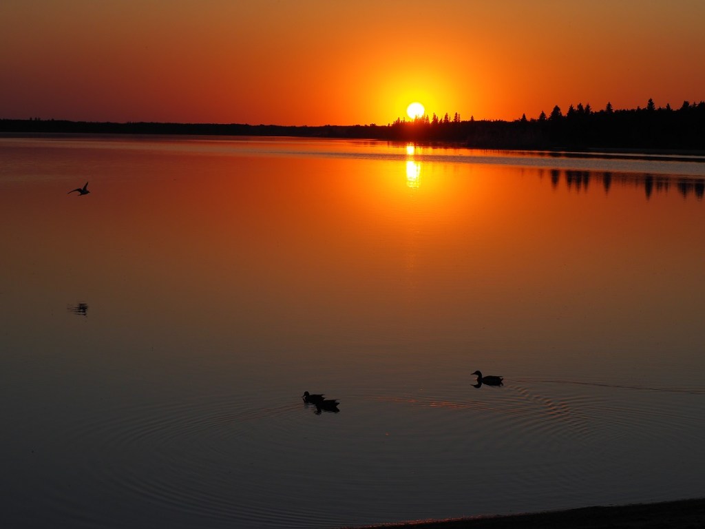 Astotin Lake Elk Island National Park Malik Merchant Simerg