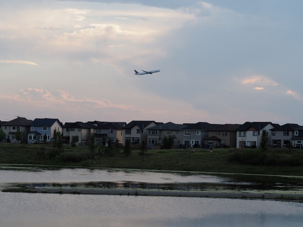 wildlife Stormwater Wet Pond on Country Hills Blvd Calgary NE Simergphotos Malik Merchant Red-Necked Grebe Air Canada