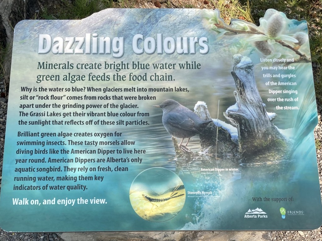 Grassis Lakes' dazzling colours, photograph Malik Merchant simergphotos.