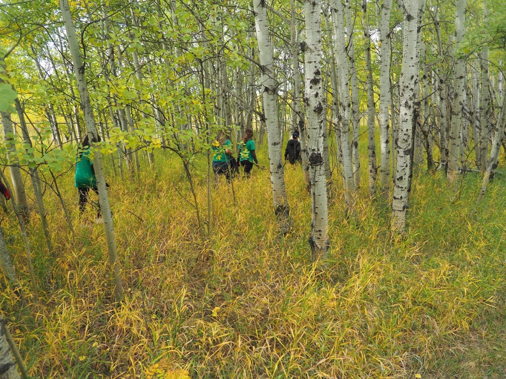 Ismaili Civic Calgary 2023, Weaselhead/Glenmore Park Preservation Society