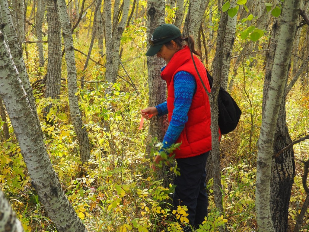 Ismaili Civic Calgary 2023, Weaselhead/Glenmore Park Preservation Society