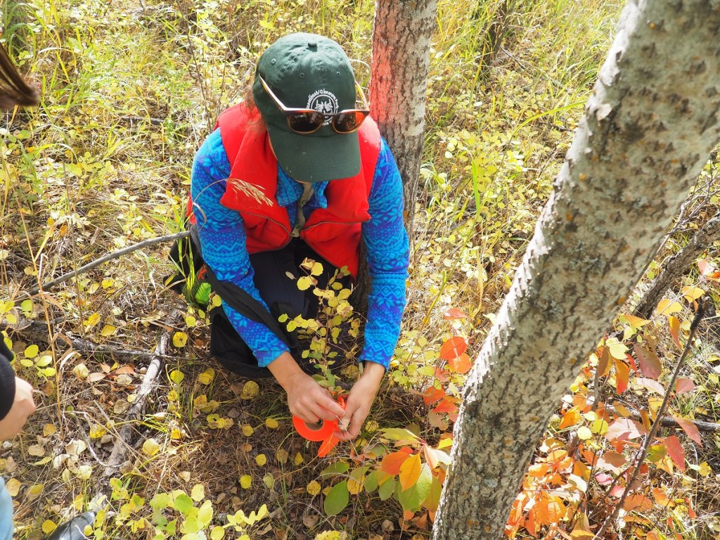 Ismaili Civic Calgary 2023, Weaselhead/Glenmore Park Preservation Society