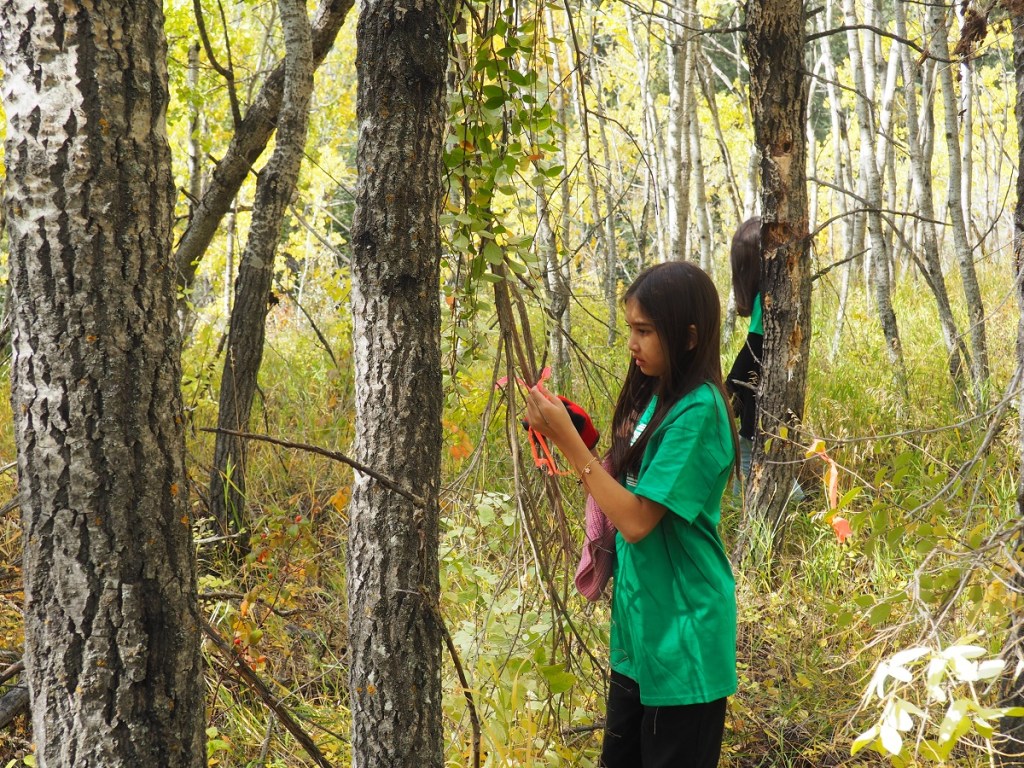 Ismaili Civic Calgary 2023, Weaselhead/Glenmore Park Preservation Society