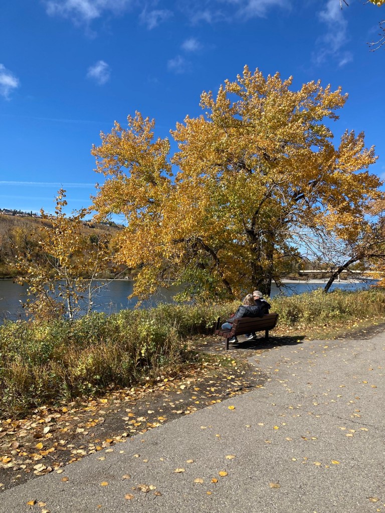 Calgary Edworthy Park Fall Colours, Simergphotos