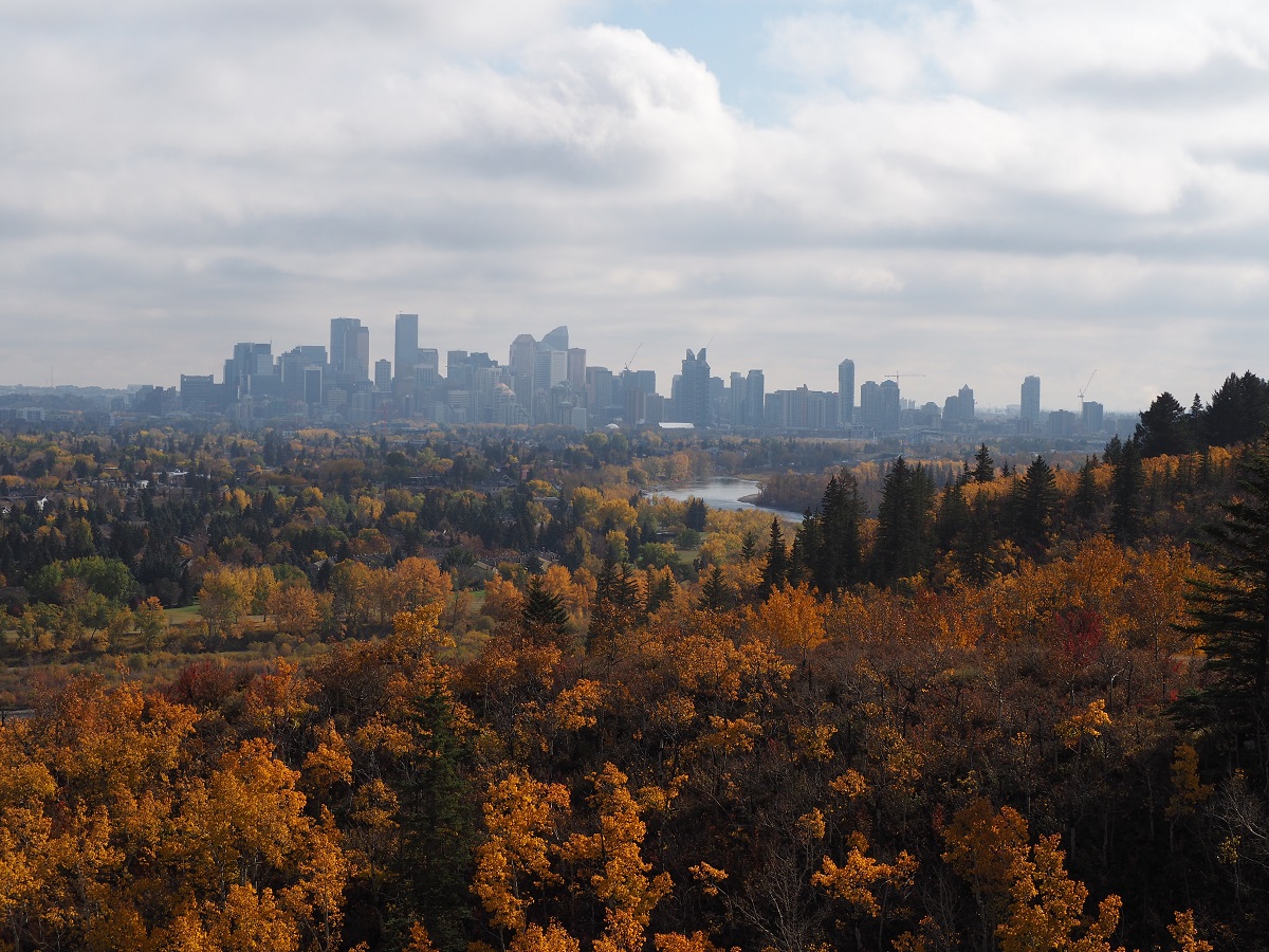Calgary Edworthy Park Fall Colours, Simergphotos