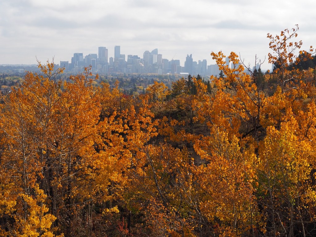 Calgary Edworthy Park Fall Colours, Simergphotos