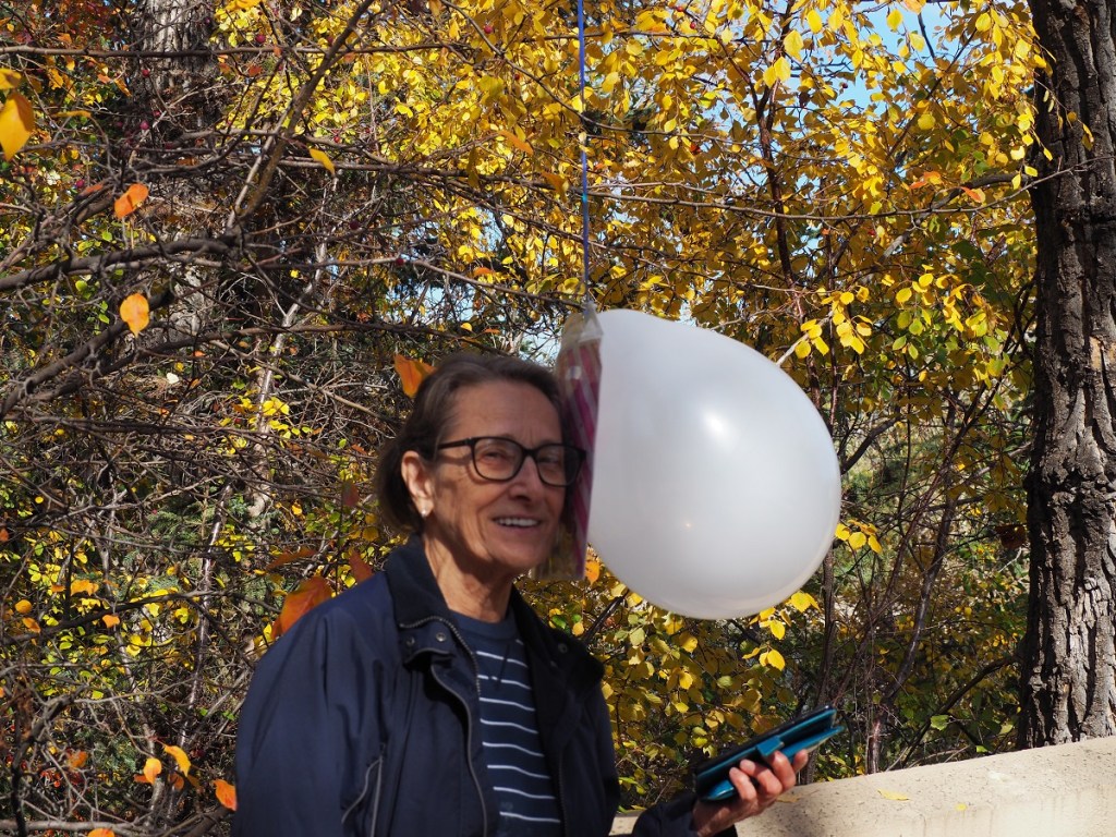 Calgary Edworthy Park Fall Colours, Simergphotos