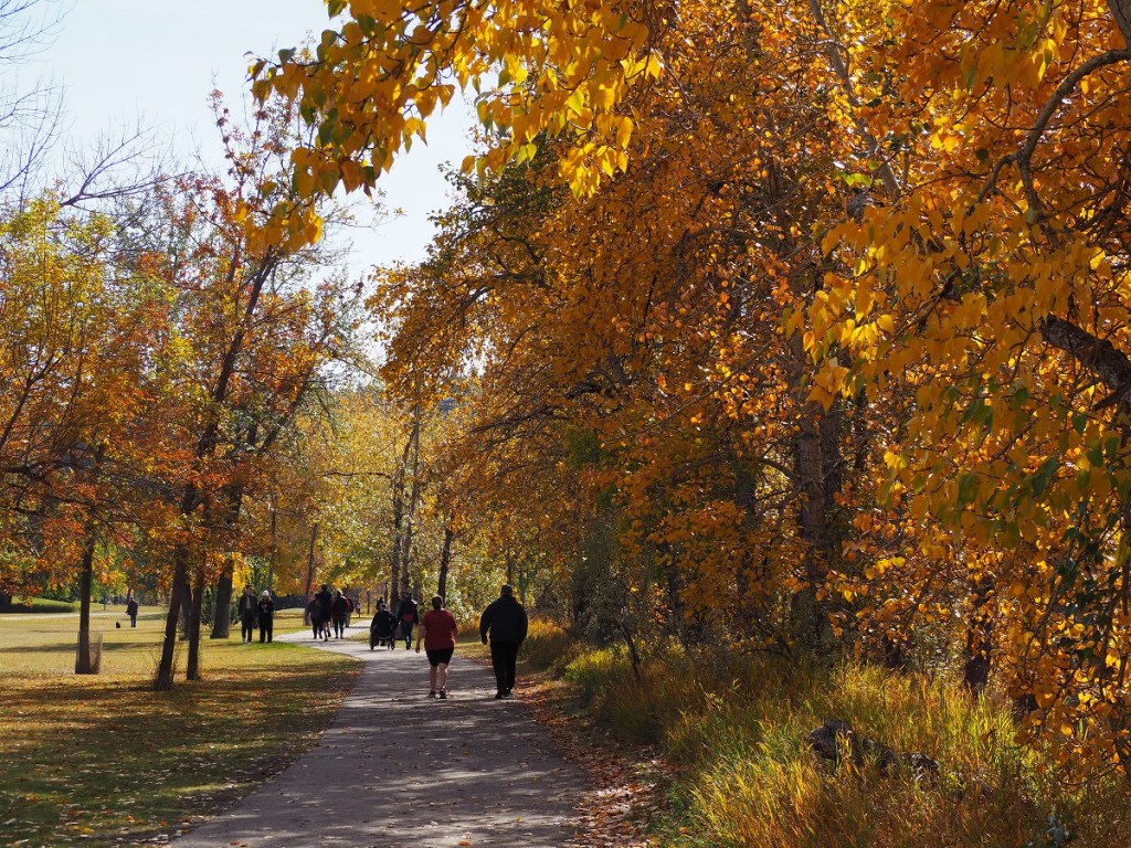 Calgary Edworthy Park Fall Colours, Simergphotos