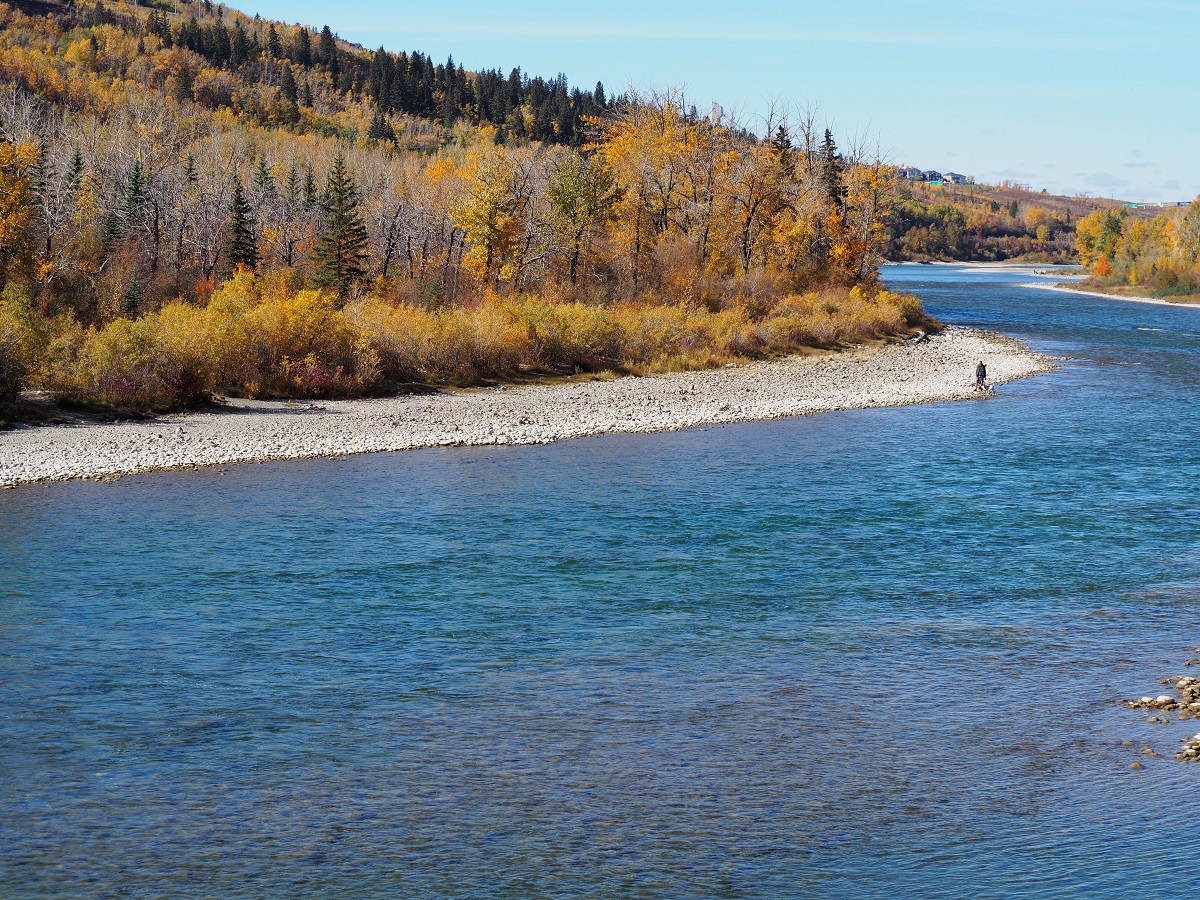 Calgary Edworthy Park Fall Colours, Simergphotos
