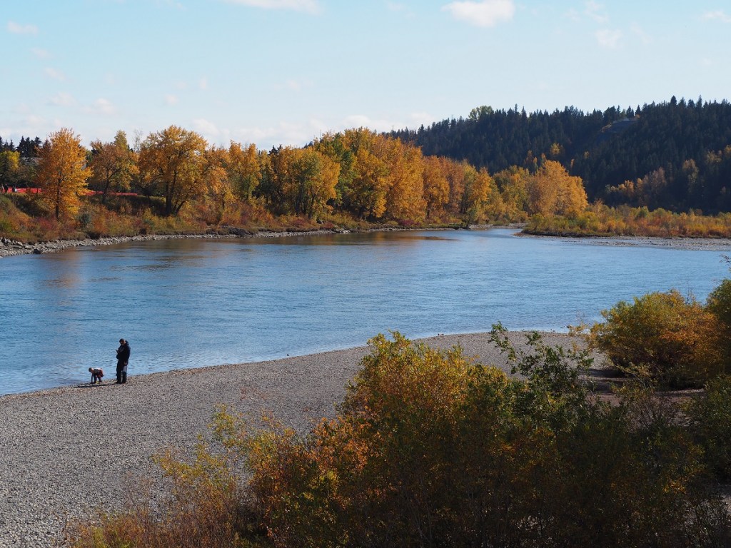 Calgary Edworthy Park Fall Colours, Simergphotos
