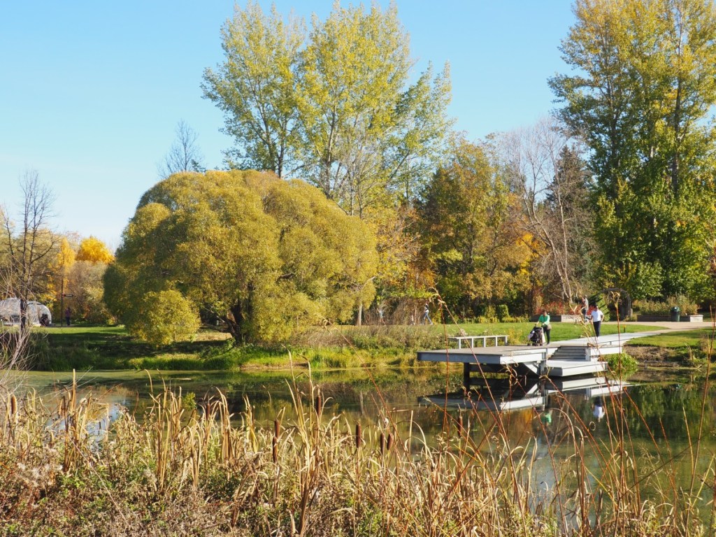Aga Khan Garden, University of Alberta Botanic Garden, Autumn Fall Colours