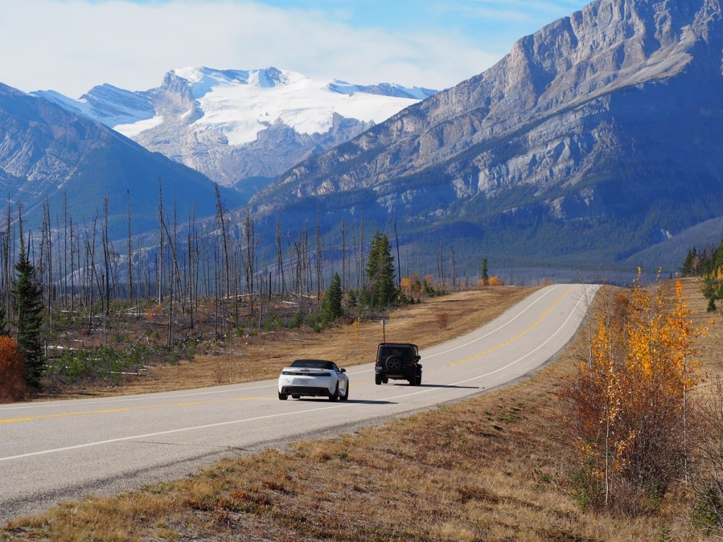 Saskatchewan Glacier