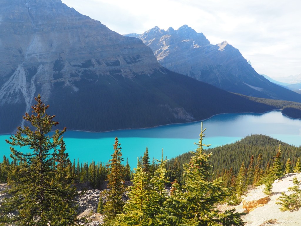 Peyto Lake Banff Nationa Park