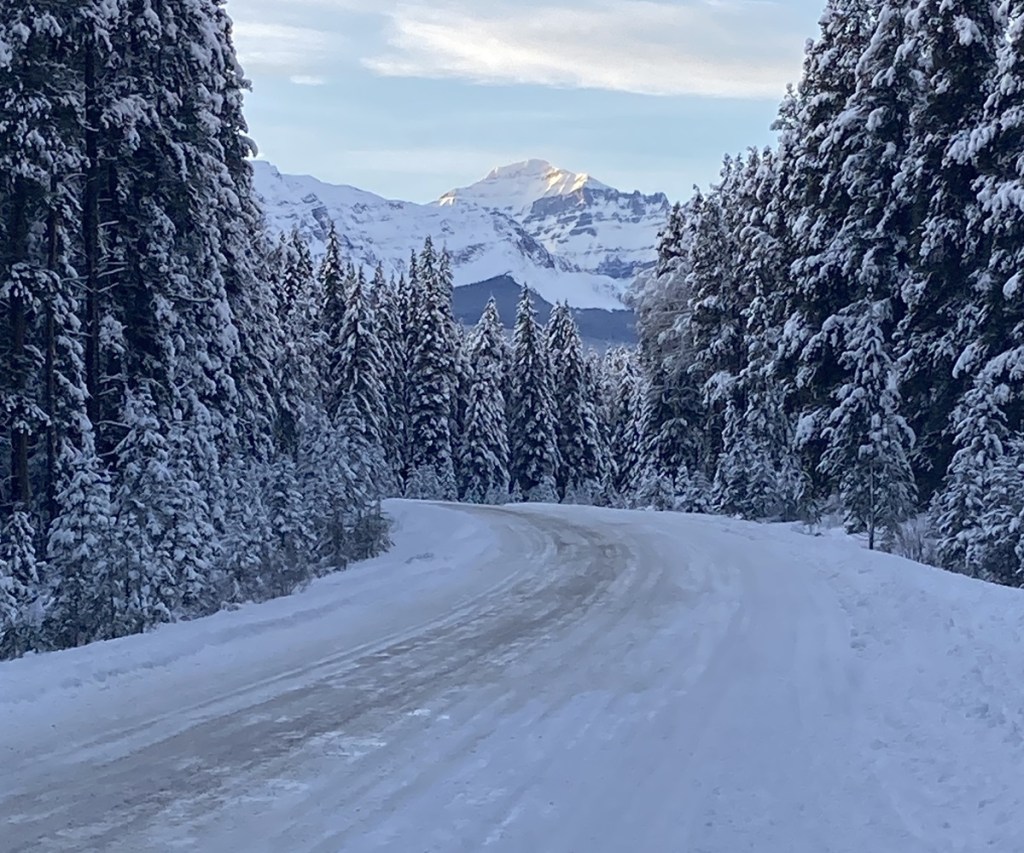 The Bow Valley Parkway or Hwy 1A