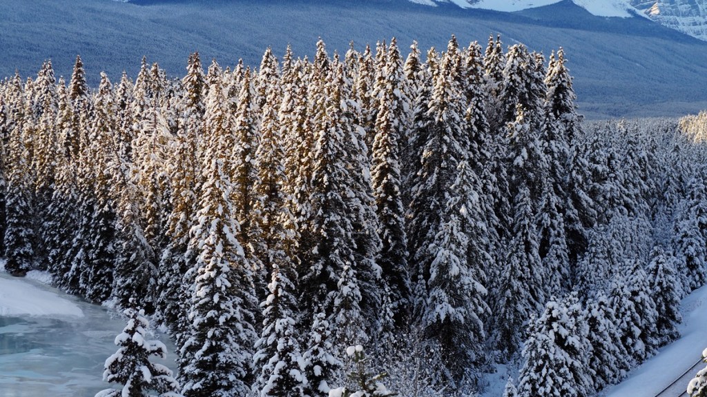 Storm Mountain lookout