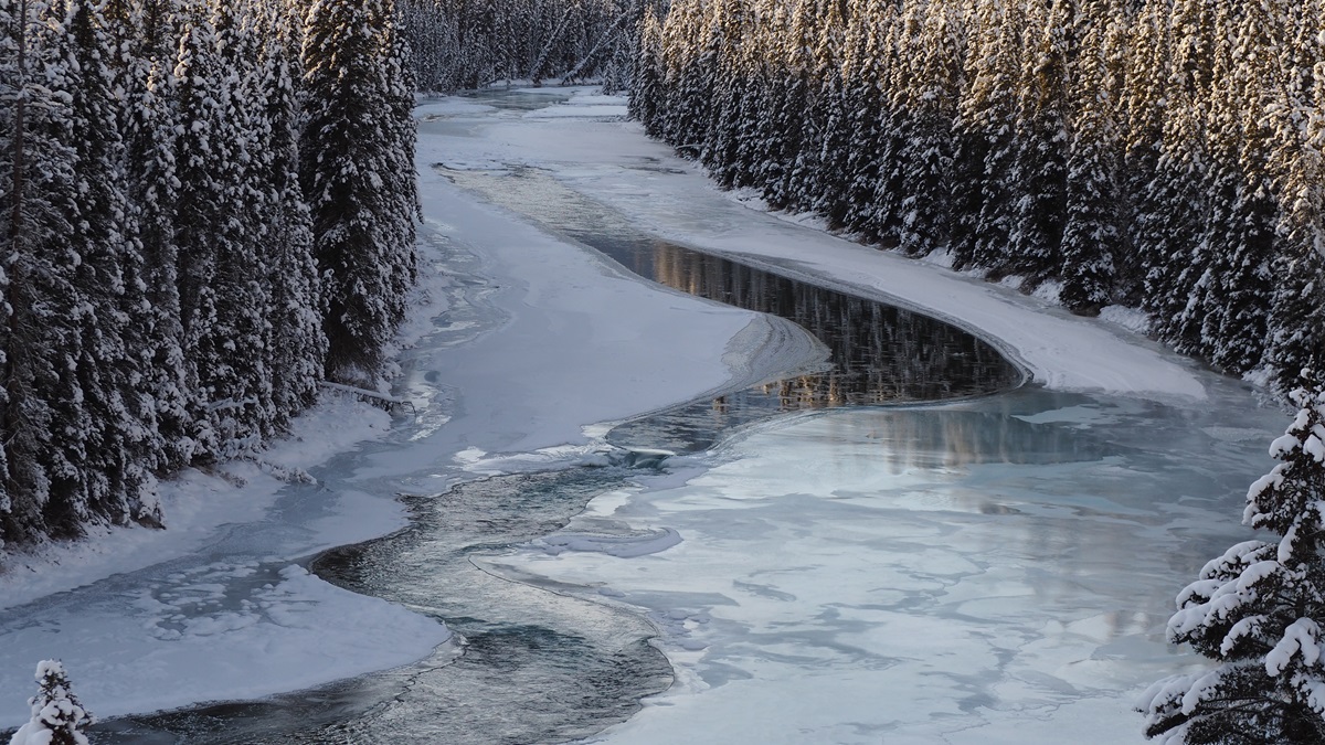 Bow River from Storm Mountain viewpoint, Hwy 1a Malik Merchant simergphotos