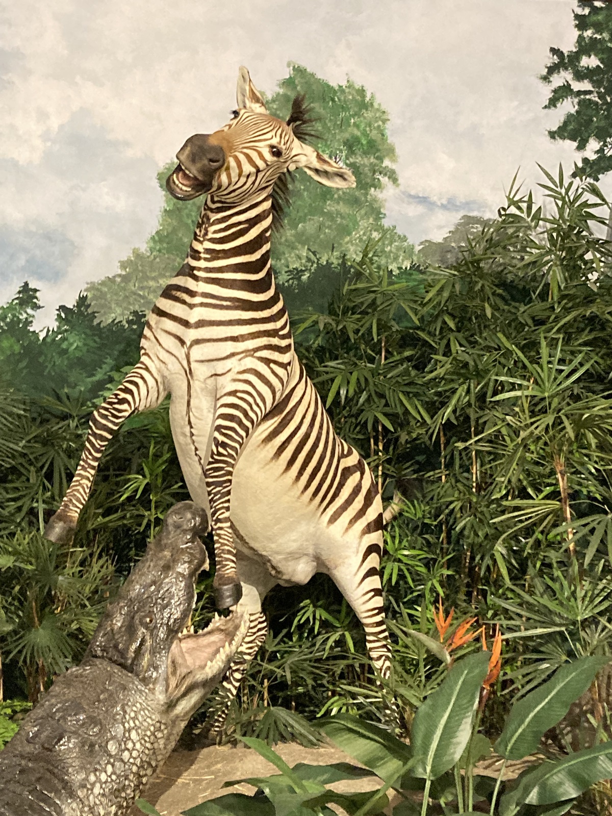 Sundre hunter Chester Mjolsness, Simergphotos