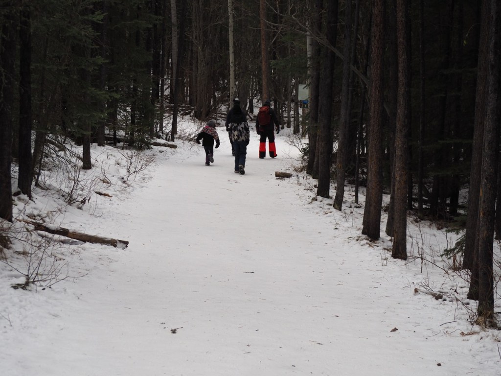 Family hiking to Troll Falls, Kananaskis Country, Alberta, Photograph: Malik Merchant/Simerg Photos.