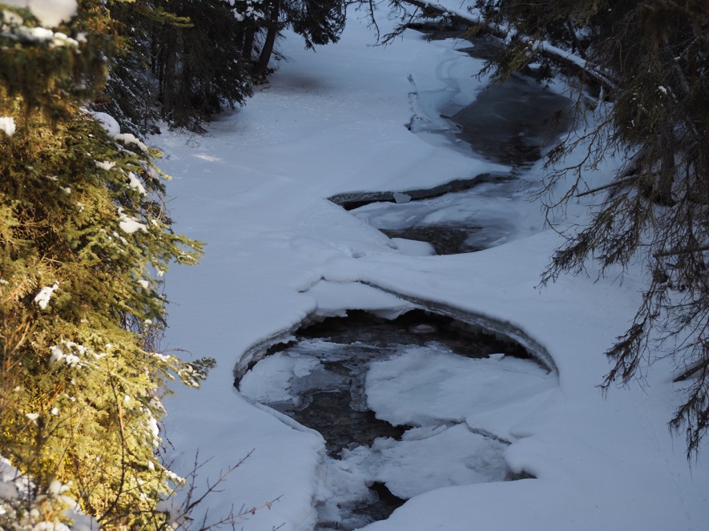 Johnston Canyon creek