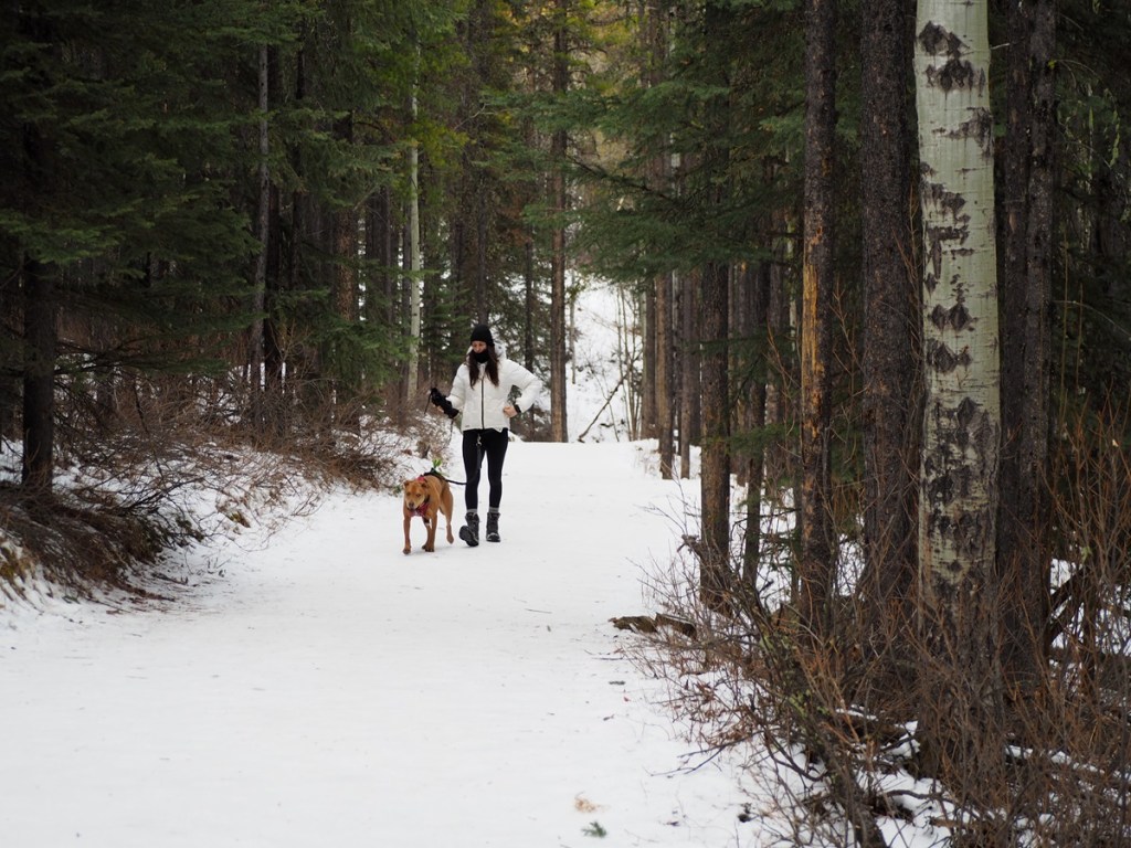 Hiker with dog Troll Falls, Kananaskis Country, Alberta, Photograph: Malik Merchant/Simerg Photos.