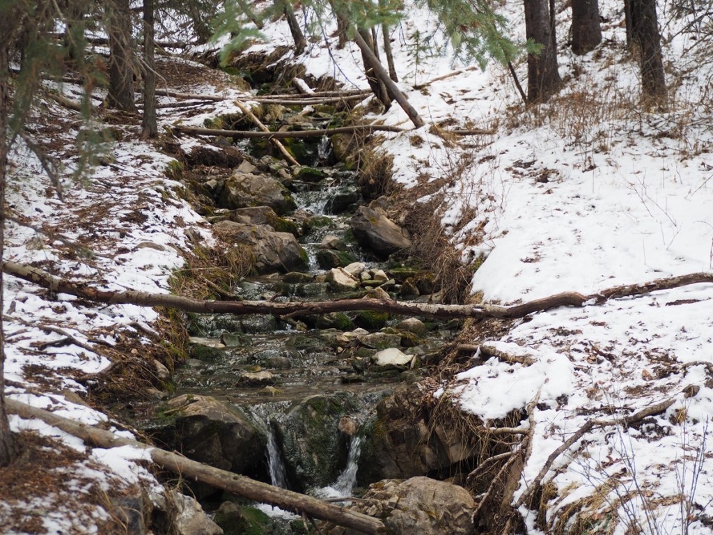 Troll Falls, Kananaskis Country, Alberta, Photograph: Malik Merchant/Simerg Photos.