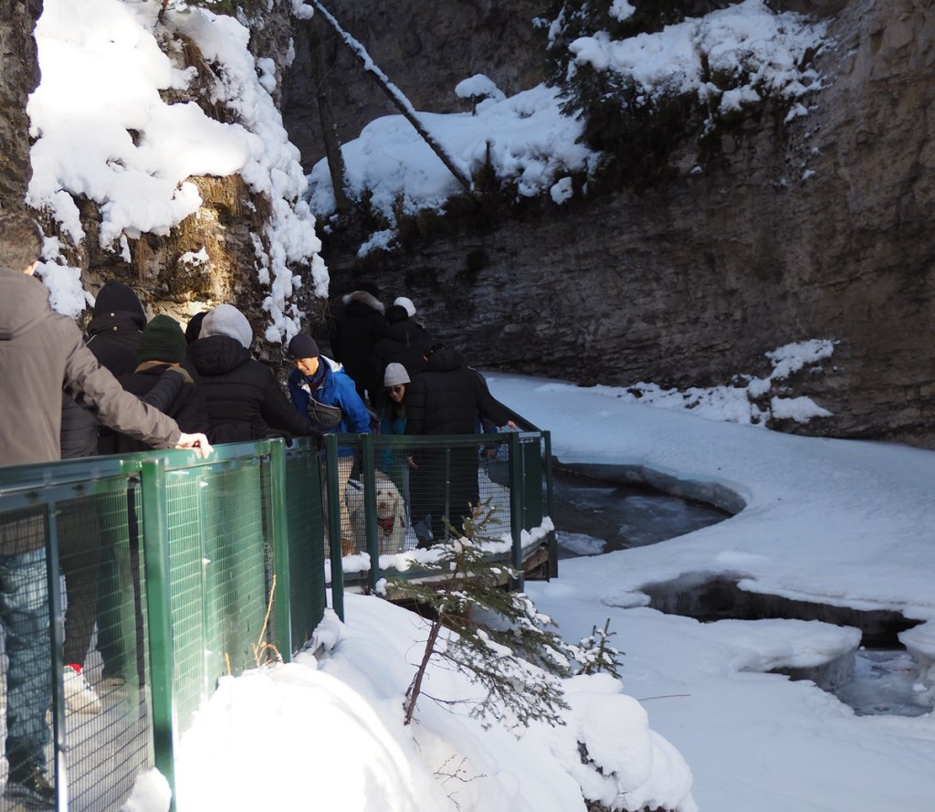 Pedestrian traffic along a bridge to Johnston Canyon's Lower Falls