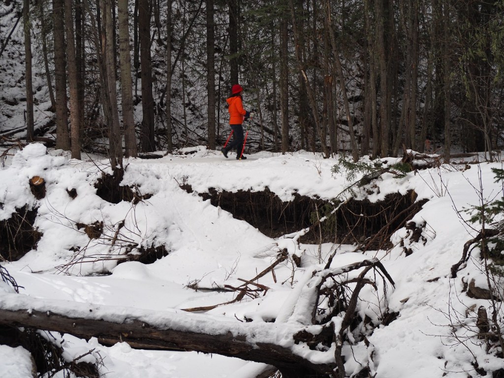 A hiker on Hay Meadow Trail 
