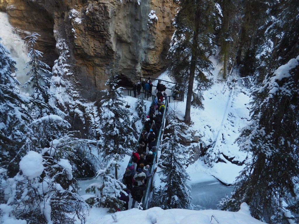 Lower Falls view Johnston Canyon