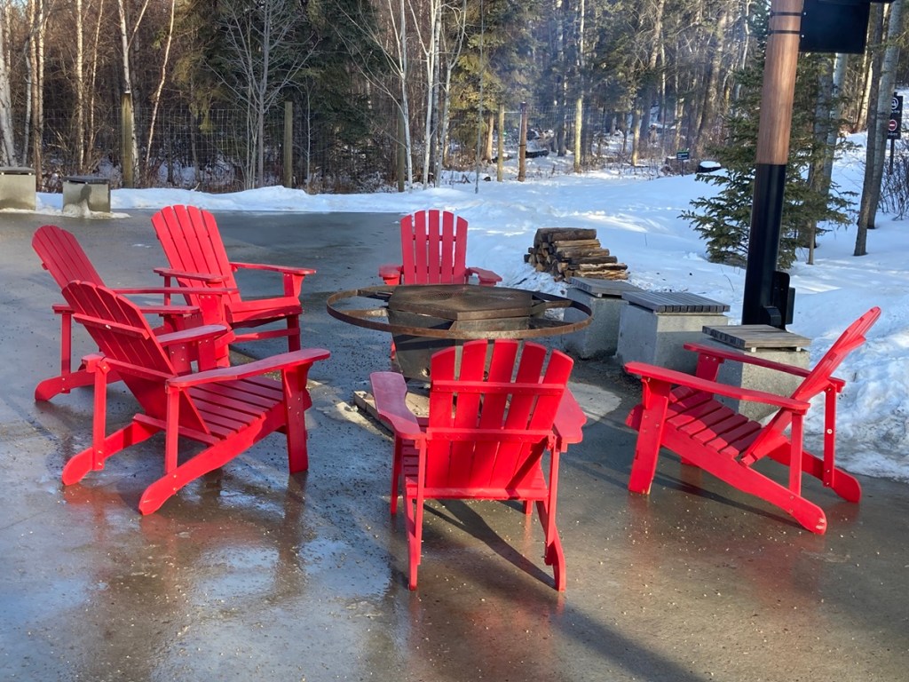 Winter 2023-24 Visit to Aga Khan Garden, University of Alberta Botanic Garden