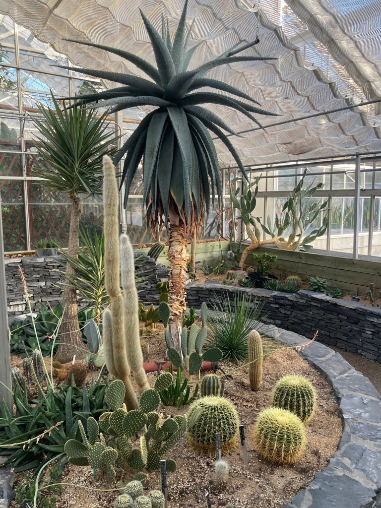 Winter 2023-24 Visit to Aga Khan Garden, University of Alberta Botanic Garden