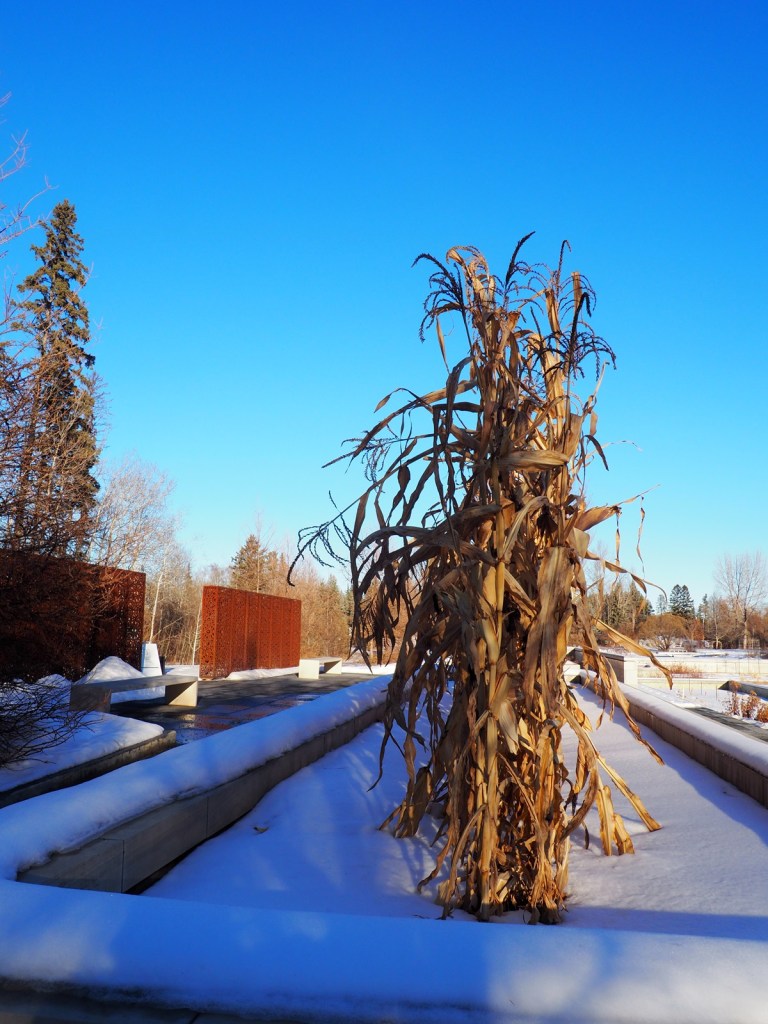 Winter 2023-24 Visit to Aga Khan Garden, University of Alberta Botanic Garden