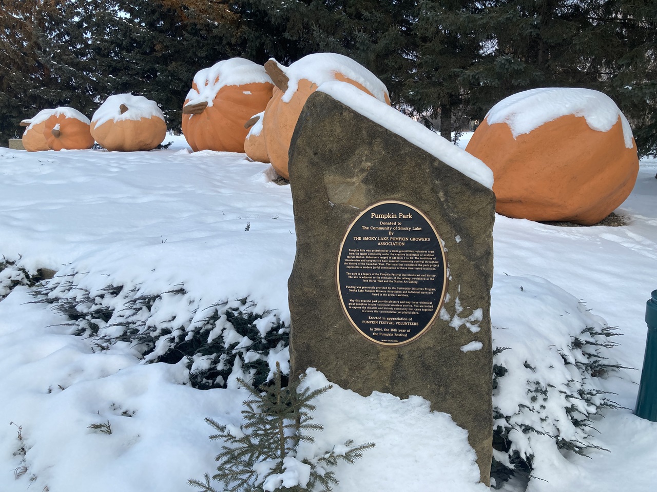 Smoky Lake Pumpkin capital of Alberta