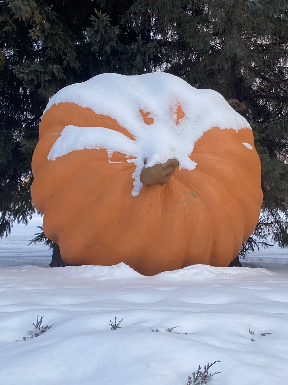 Smoky Lake Pumpkin capital of Alberta